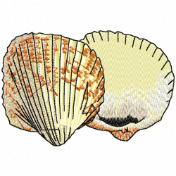 Seashell Embroidery Design 1 Seashell Embroidery Design 1